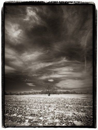 Light under dark....