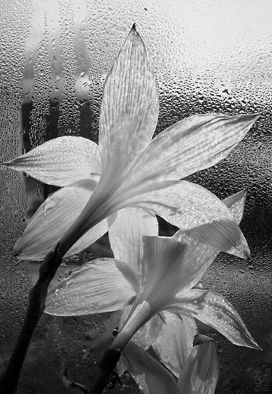 утро. фото превью