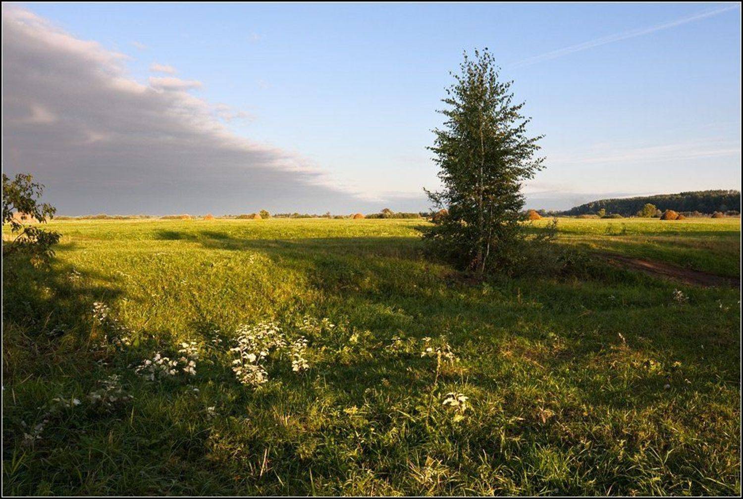 татарские, ямалы, Степанов Сергей