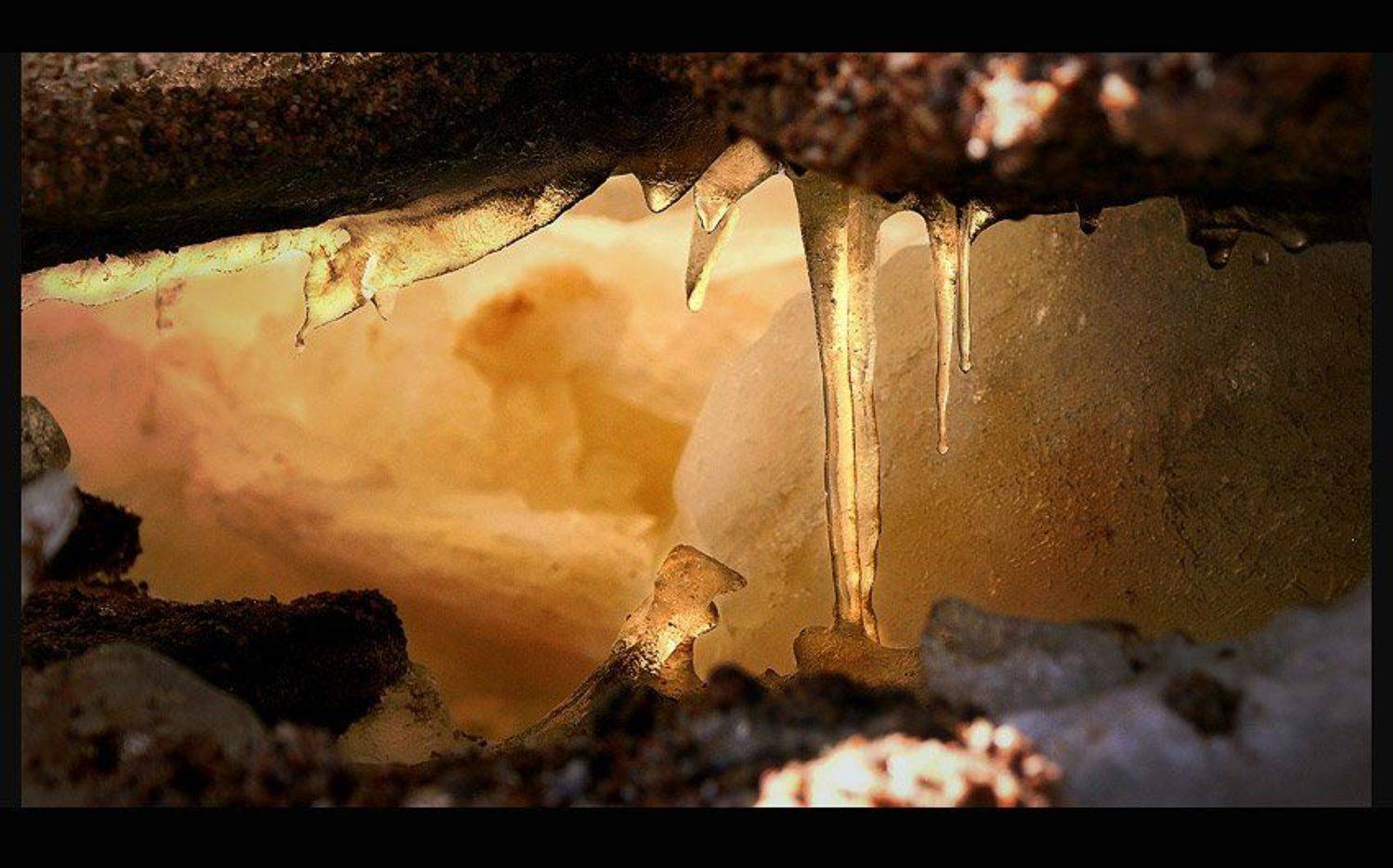 , Максим Задвинский