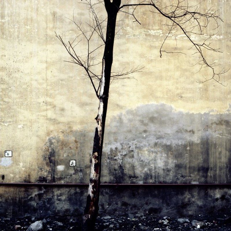 Пейзаж с морем - II фото превью