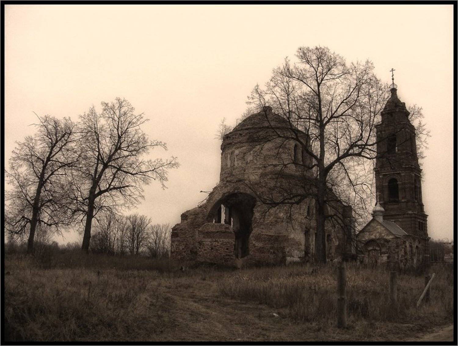 , Лунный Ежик