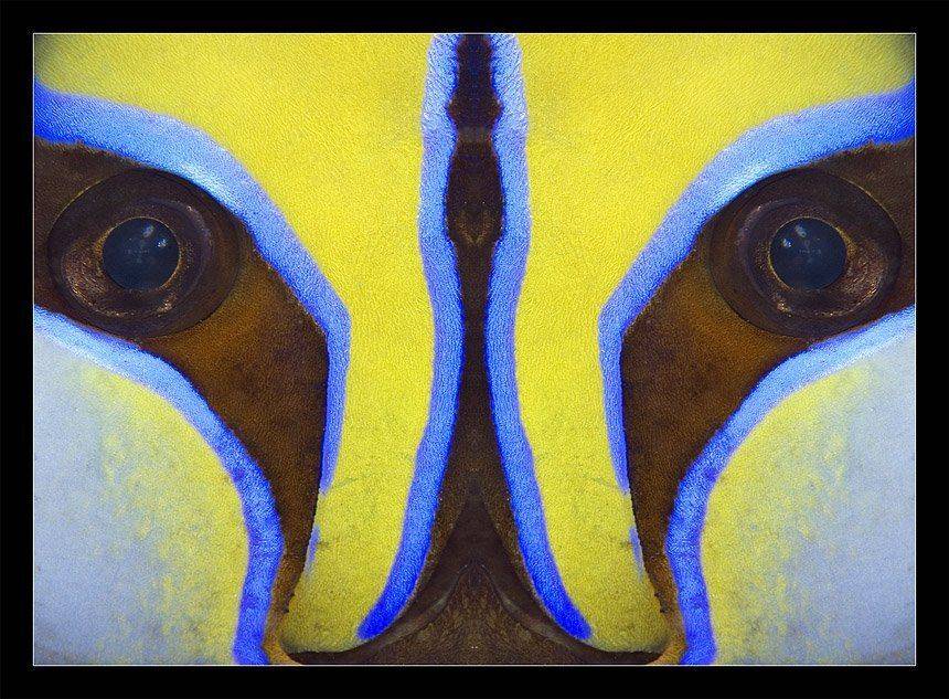 , Нарчук Андрей