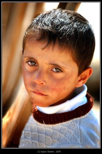 из серии  # Газа не сдается!! #