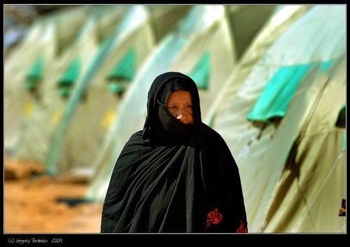 из серии # Газа не сдается !! #