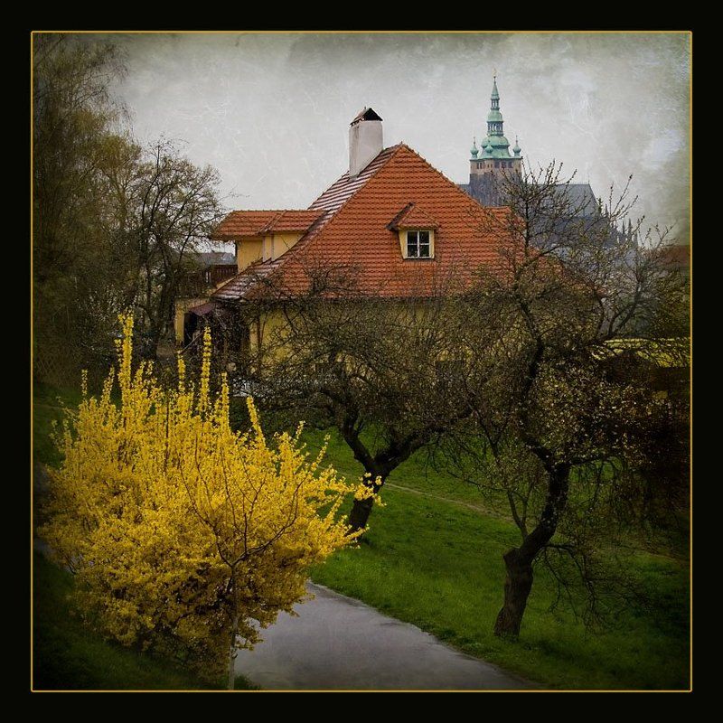 прага Прага фото превью