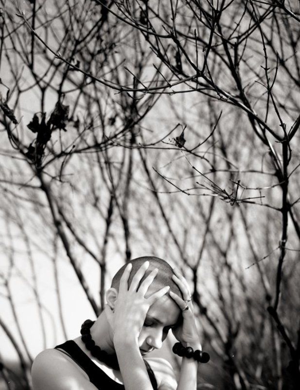 Medusa фото превью