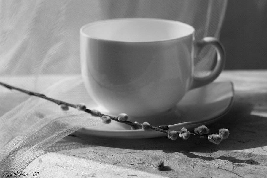 фото, чашка, верба, белое, натюрморт, Ольга Горелова