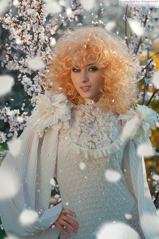 *** фото превью