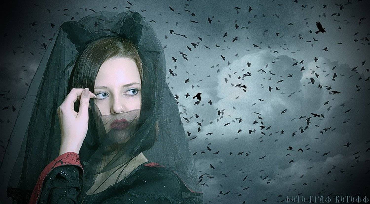 black, widow, черная, вдова, вороны, кружат, Yagor