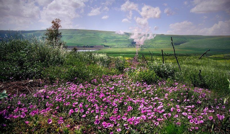 Тайна розовых облаков фото превью