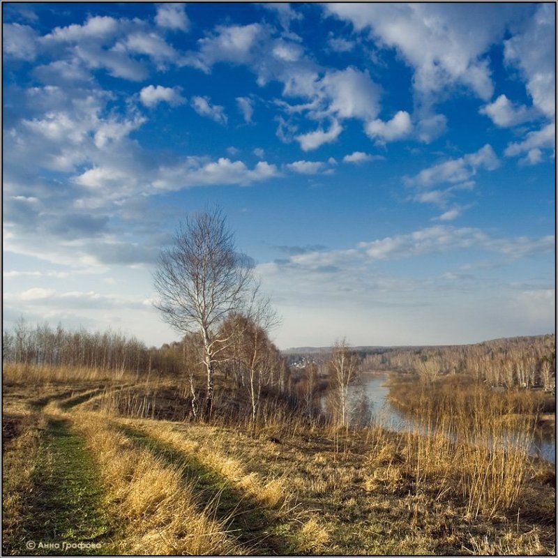 нсо, берёза, река, иня, весна, аня графова Апрель фото превью