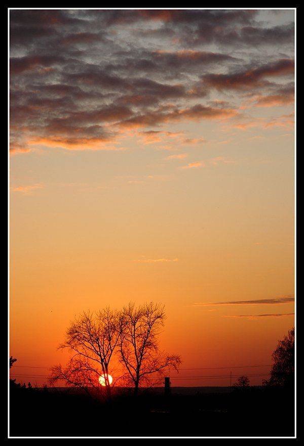 , Сергей Сорокин