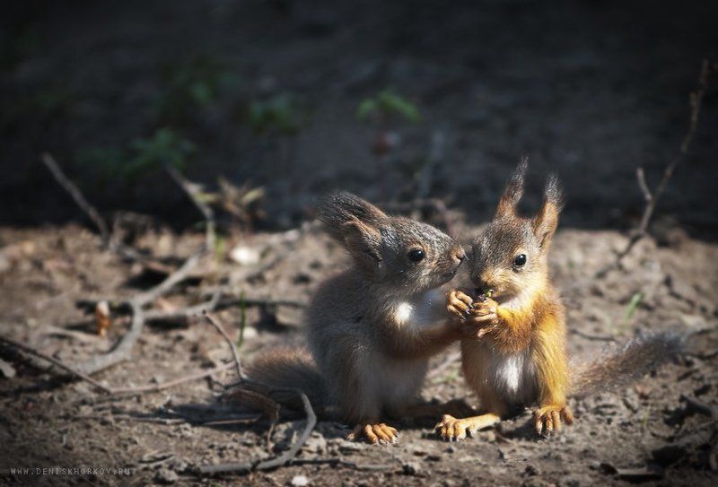 А ты меня любишь?) фото превью