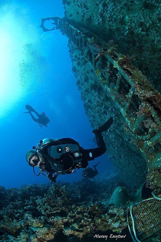 зайцев, северное, сафари, красное, море, обучение, фото, рэк Лестница в небо фото превью