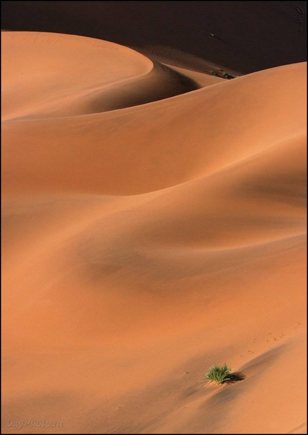 дюны, соссусвлеи, пустыня намиб, намибия, африка, dunes, sossusvlei, namib desert, namibia, africa, Оксана Борц