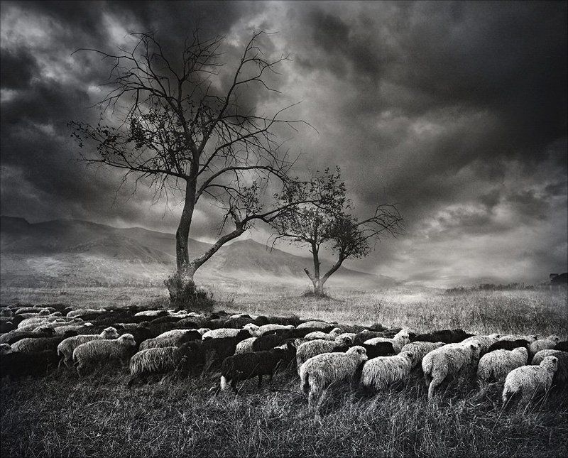 *** фото превью