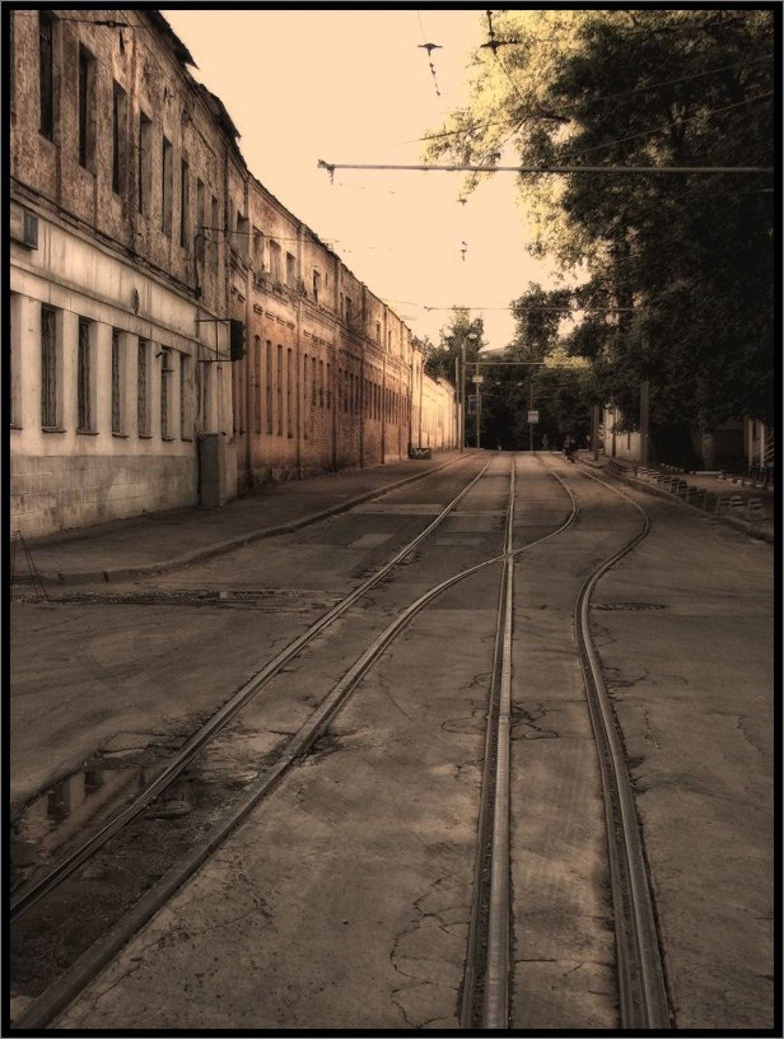 , Лунный Ежик