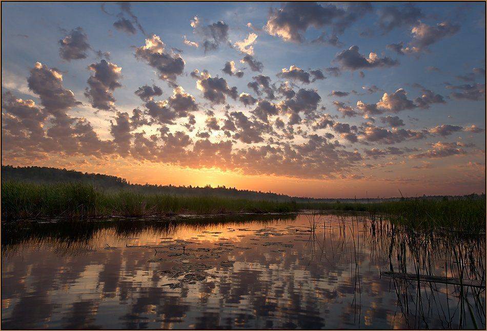 , izh Diletant (Валерий Щербина)