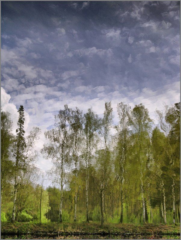 Весна фото превью