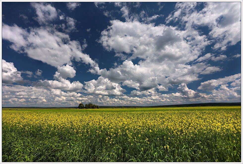 , izh Diletant (Валерий Щербина)