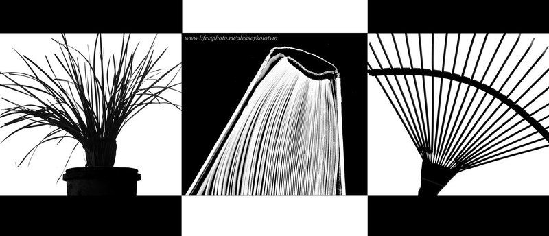 Взаимность фото превью