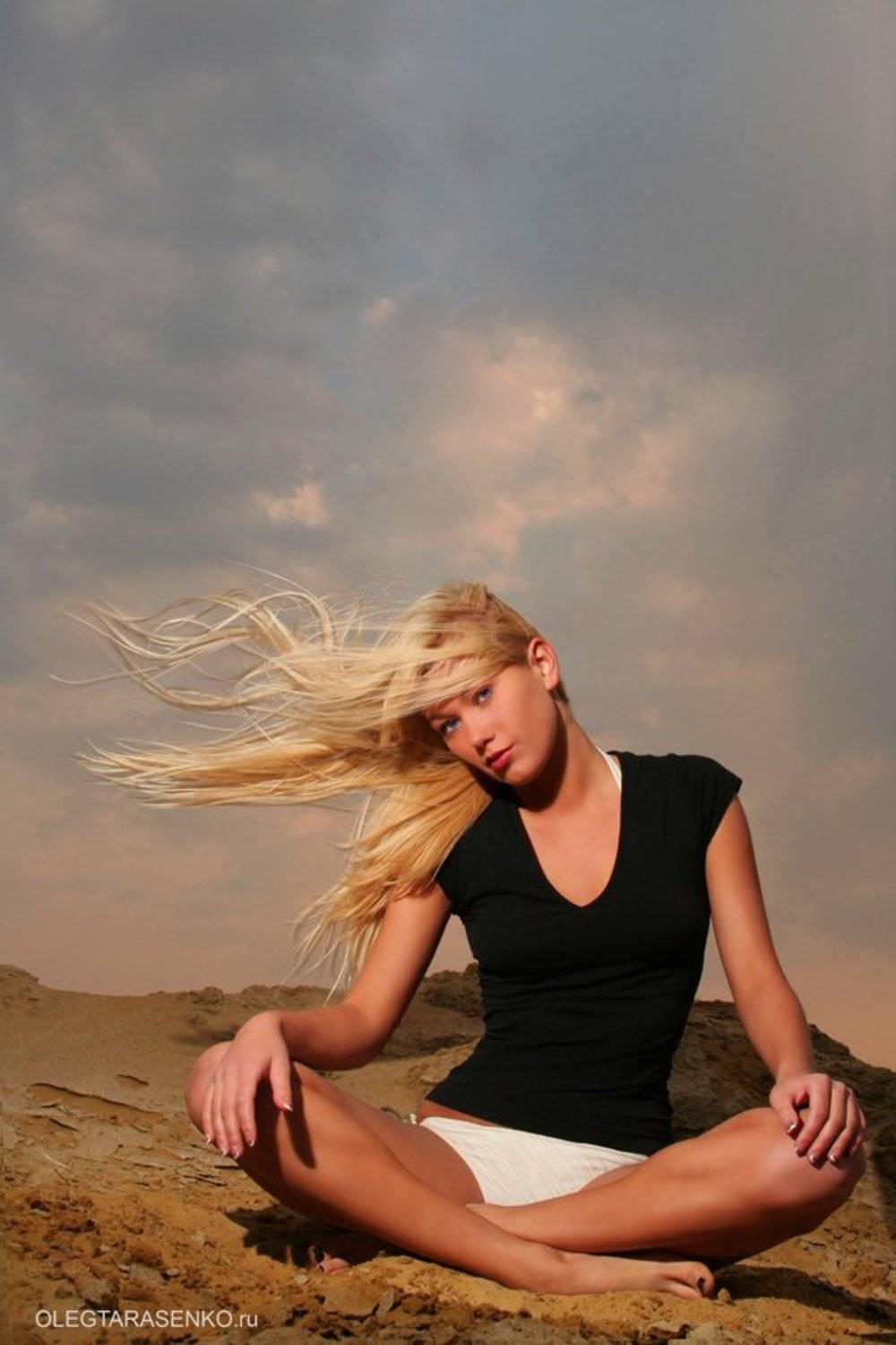 , OLEGTARASENKO.ru