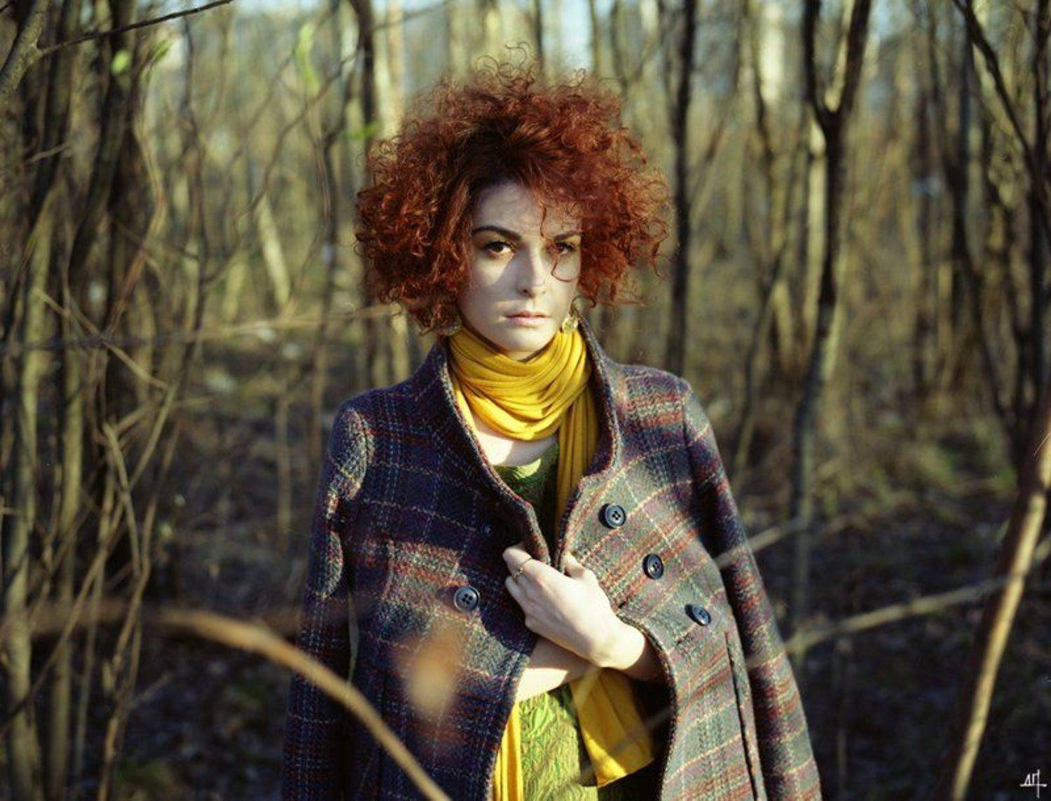 , Дмитрий Плотникофф