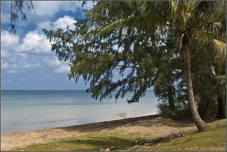 море,берег,пляж,пальма,облака, Александр Лицис