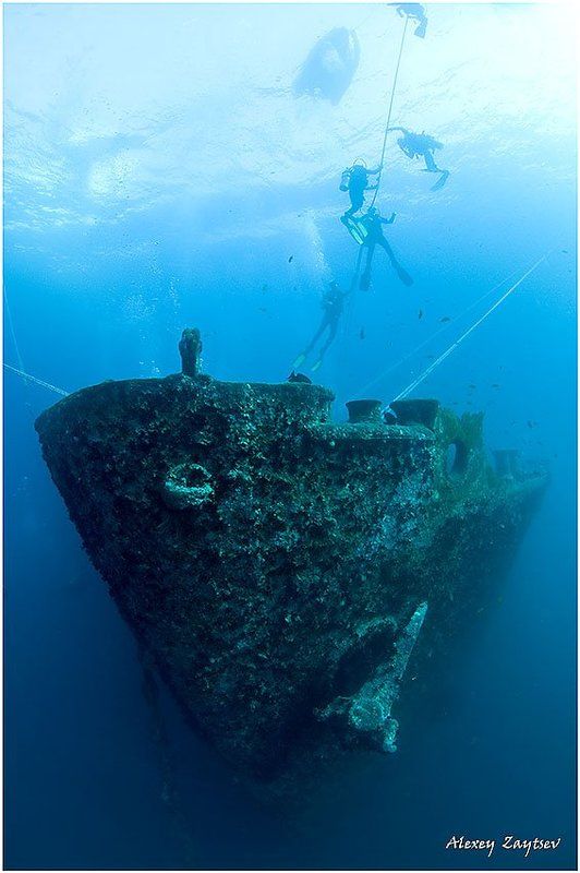 зайцев, обучение, подводной, фотографии, , красное, море, рэк Thistlegorm. Bow. фото превью