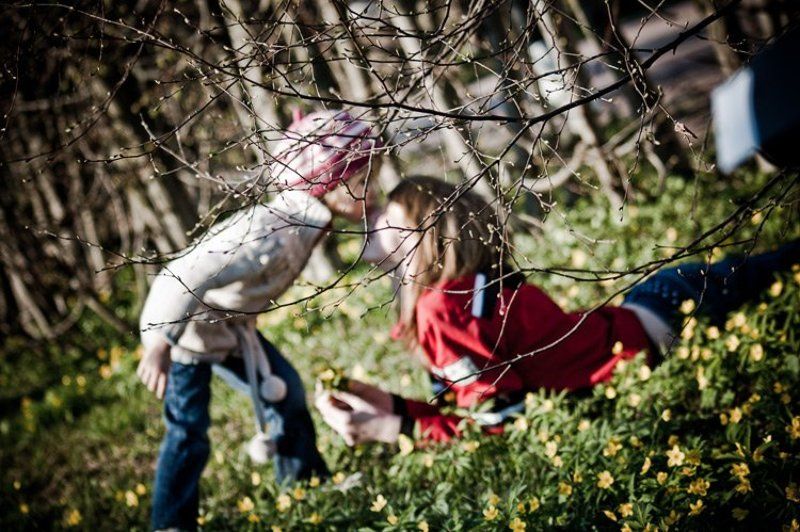 дети, кусково, весна *** фото превью