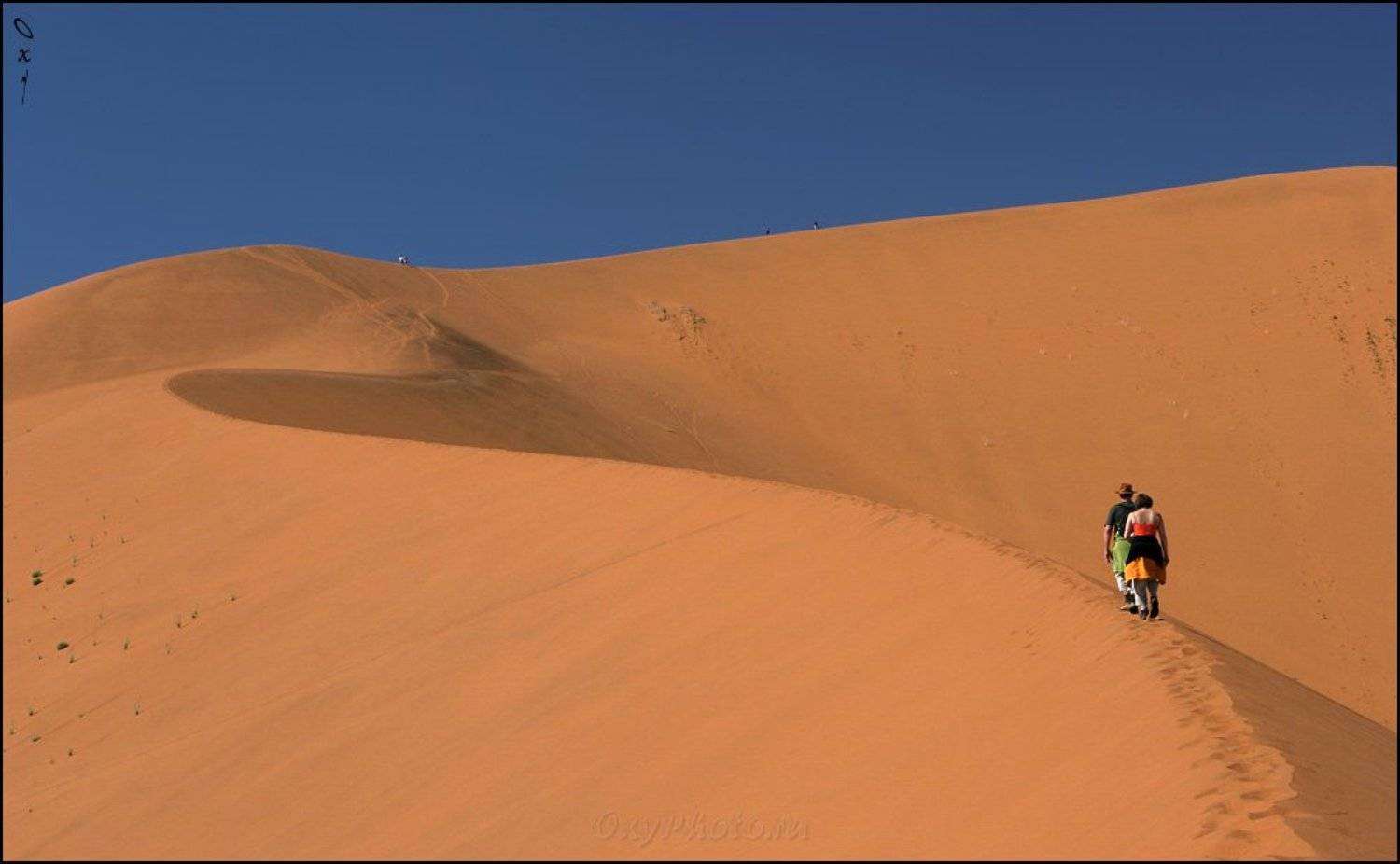дюны, соссусвлеи, пустыня намиб, намибия, африка, dunes, sossusvlei, namib desert, namibia, africa, Оксана Борц