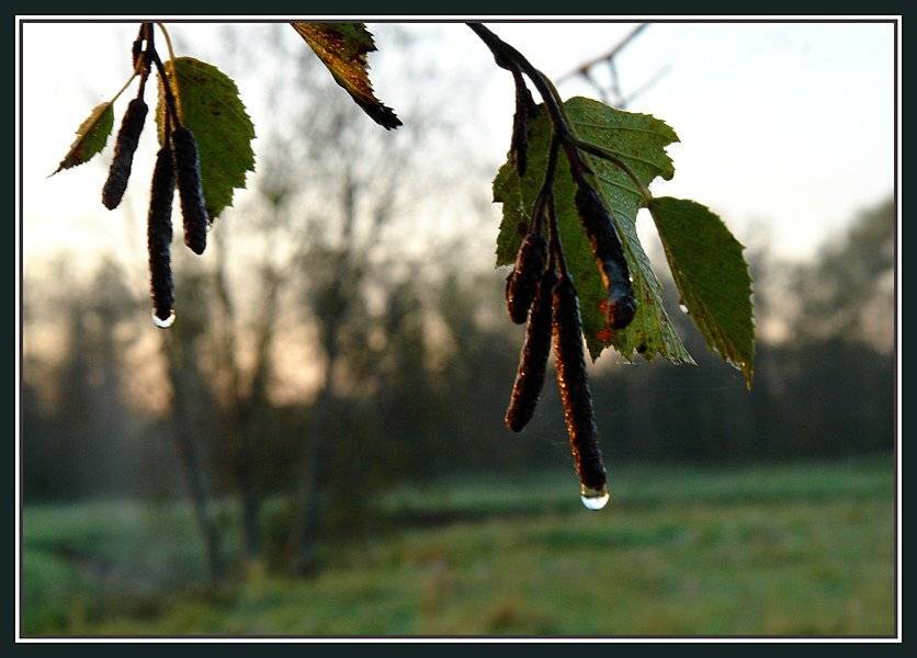 , Сергей Сорокин