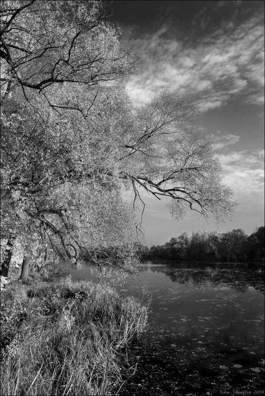 октябрьсая, гравюра Октябрьская гравюра фото превью
