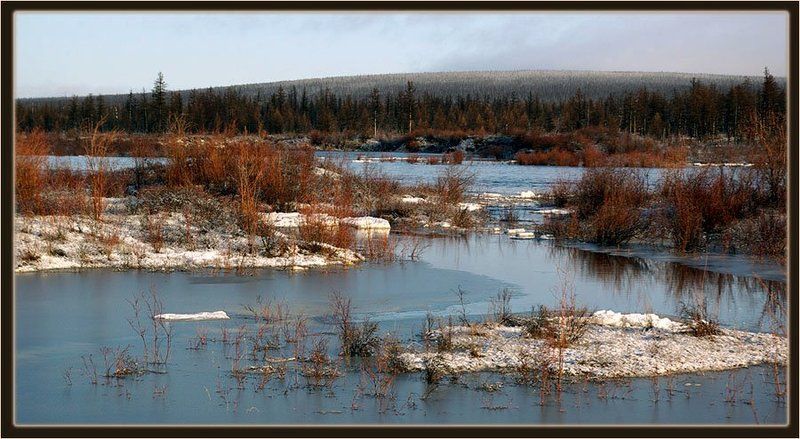 река, ледоход, тайга Весенние разливы фото превью