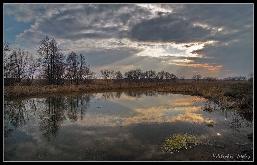 фото, Vital