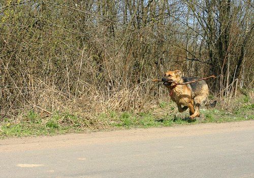 Нас не догонят...