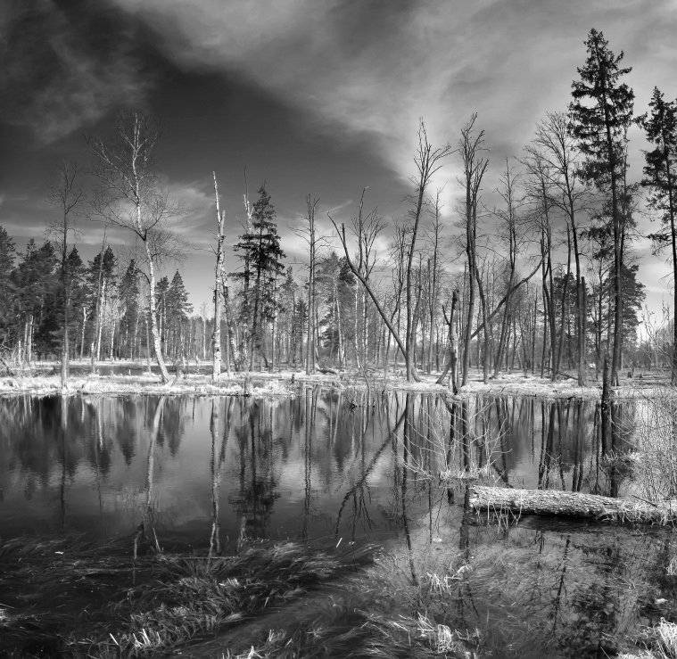 , Эдуард VTORNIK  Николаев