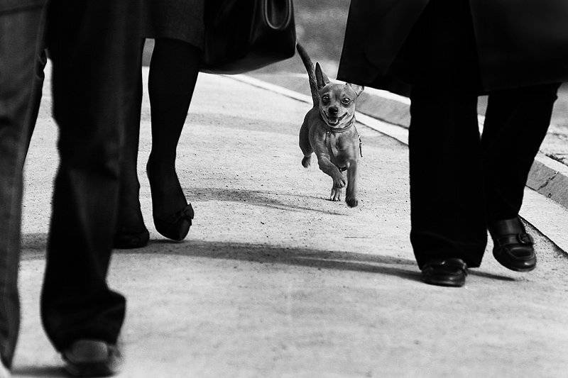 , Максим Юлдашев