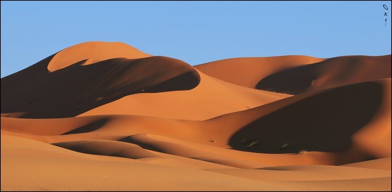 африка, марокко, africa, morocco, maroc, магриб, песок, дюны, пустыня, сахара, sand, dune, desert, sahara, эрг-шебби, erg-chebbi, merzouga, мерзуга Вечерние тени... фото превью