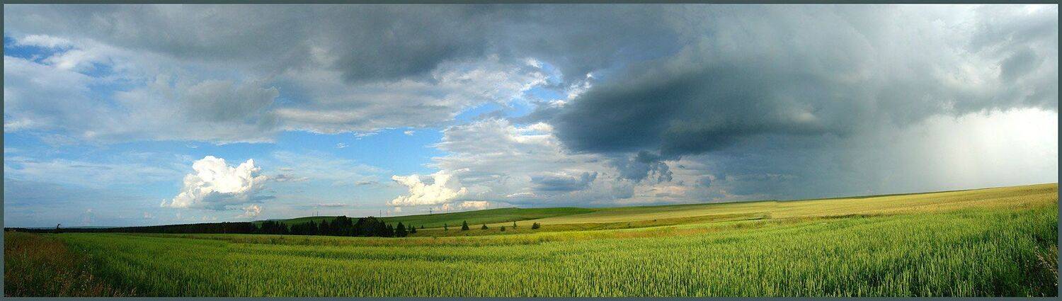 , Сергей Сорокин