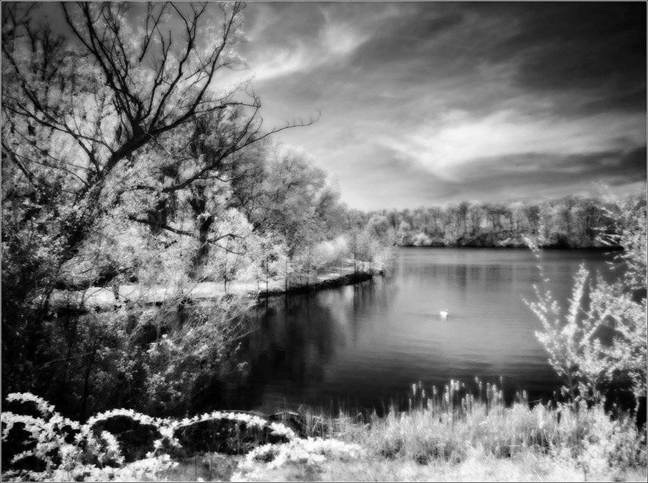 ик, пейзаж, infrared, инфракрасный, инфракрасное, pilgrim, hoya r72, pentax dl, Pilgrim