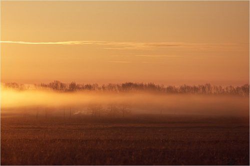 Под покрывалом