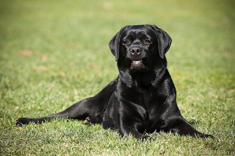 Голливуд отдыхает фото превью
