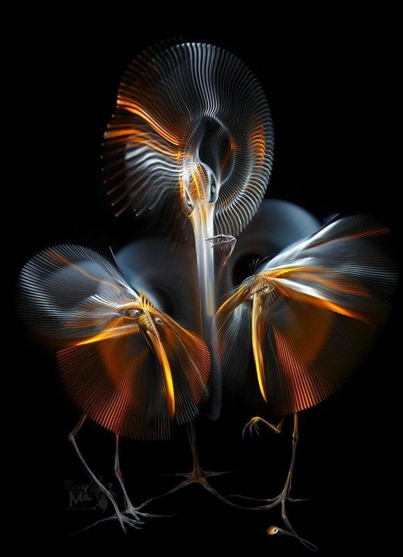 Светограф и свет  (Светографика - Витые сдвиги 2009 ) фото превью