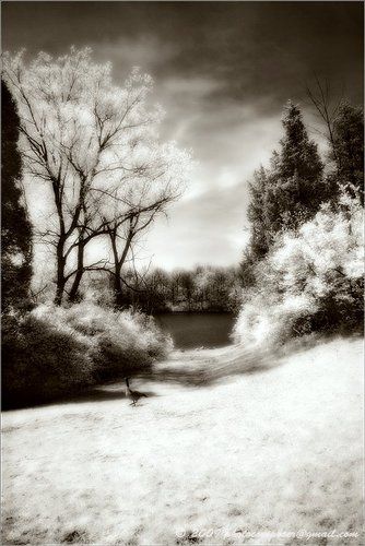 Сентиментальная прогулка....