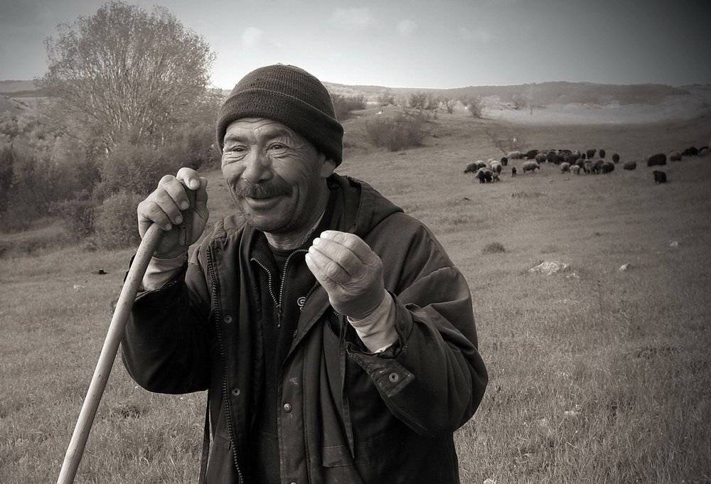 , Андрей  Золочевский