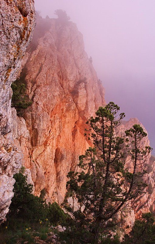 свечение фото превью