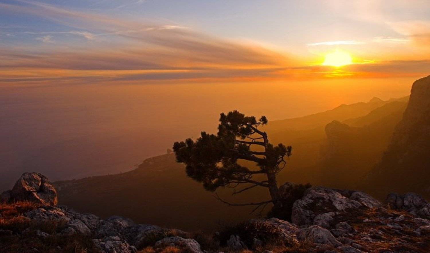 , Андрей  Золочевский