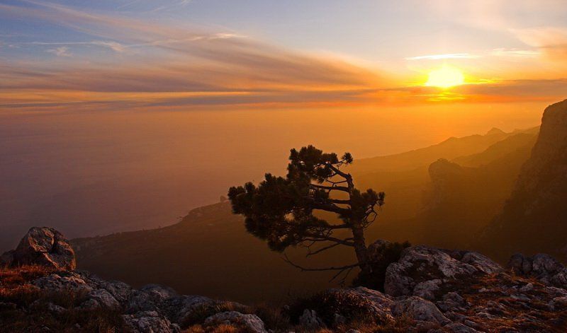 противостояние фото превью